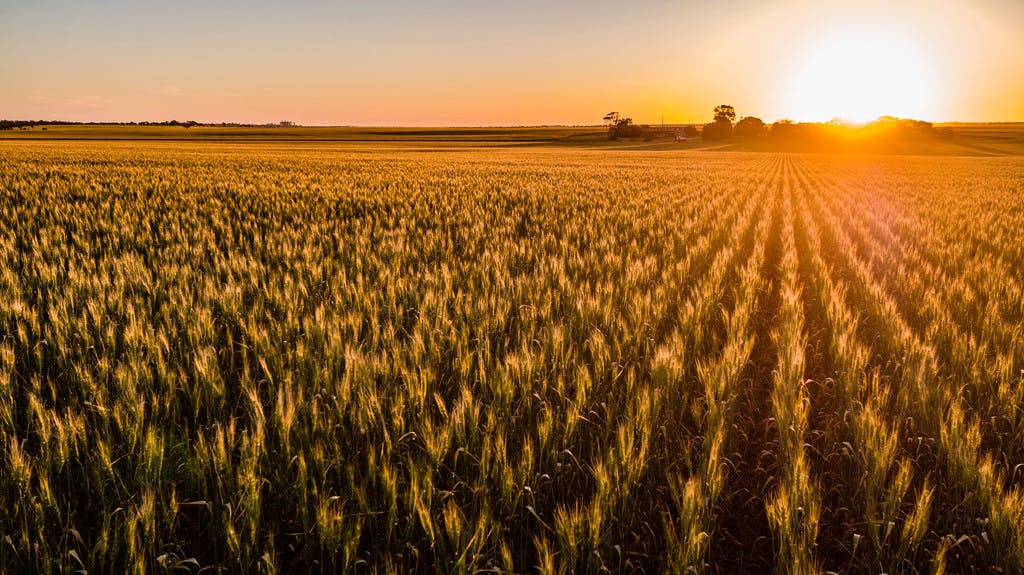 Elders Real Estate South Australia Your Local Real Estate Experts