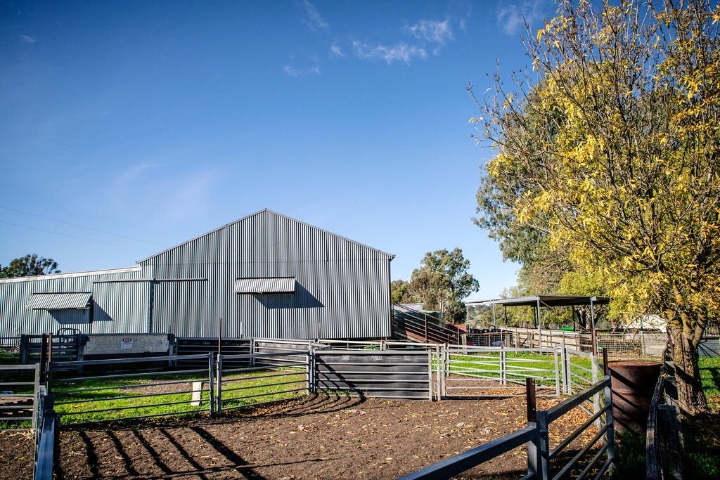 Bec and Glenn, Salt Creek Harrow VIC property